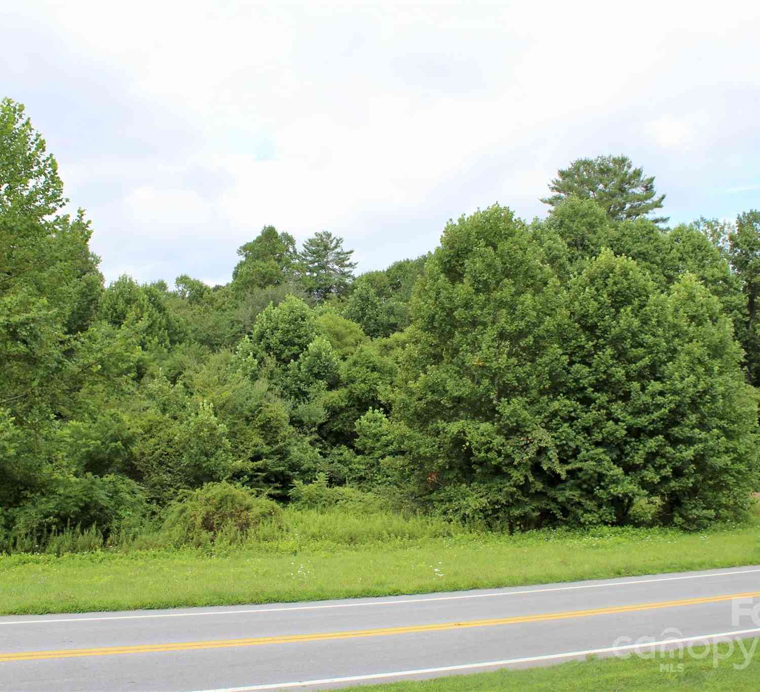 00 Haywood Road, Hendersonville, North Carolina image 4