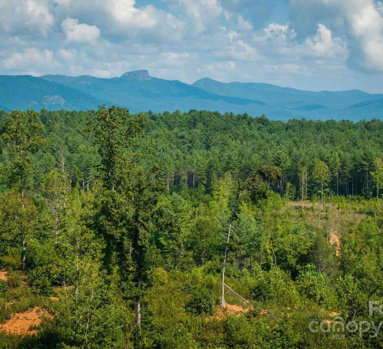 4311 Gwaltney Road, Morganton, North Carolina image 9