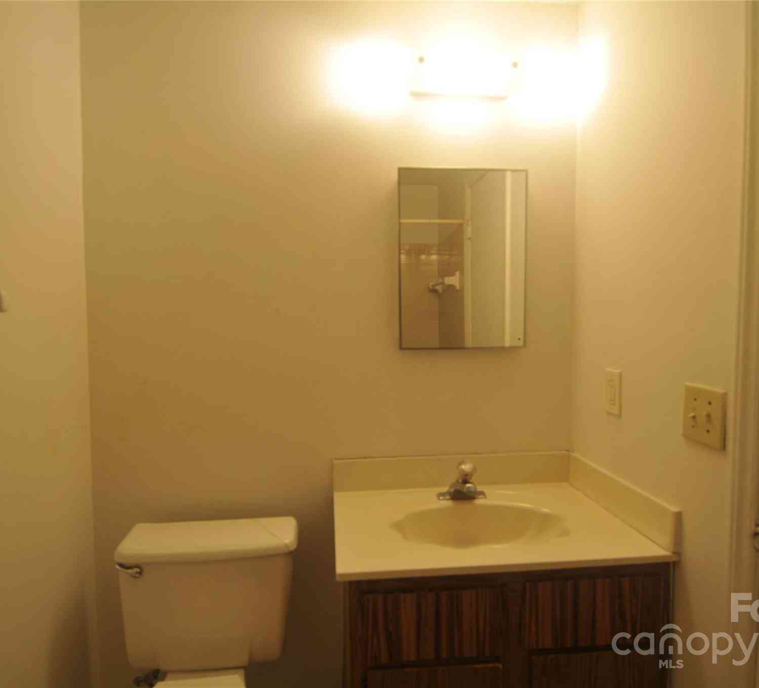 9500 L Shannon Green Drive, Charlotte, North Carolina image 10