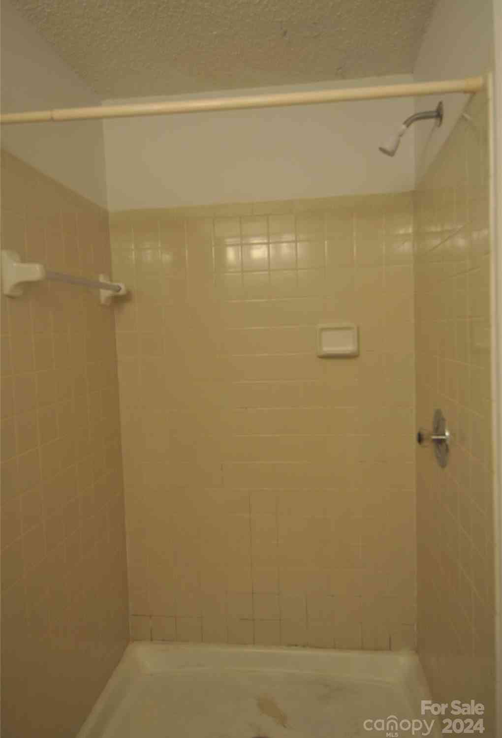9500 L Shannon Green Drive, Charlotte, North Carolina image 9