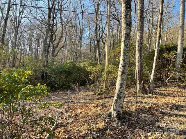 E Poplar Lane #25, Hendersonville, North Carolina image 1