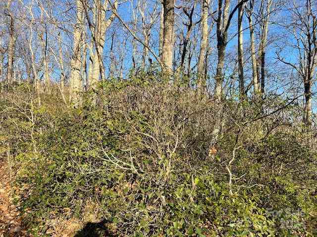 E Poplar Lane #25, Hendersonville, North Carolina image 2