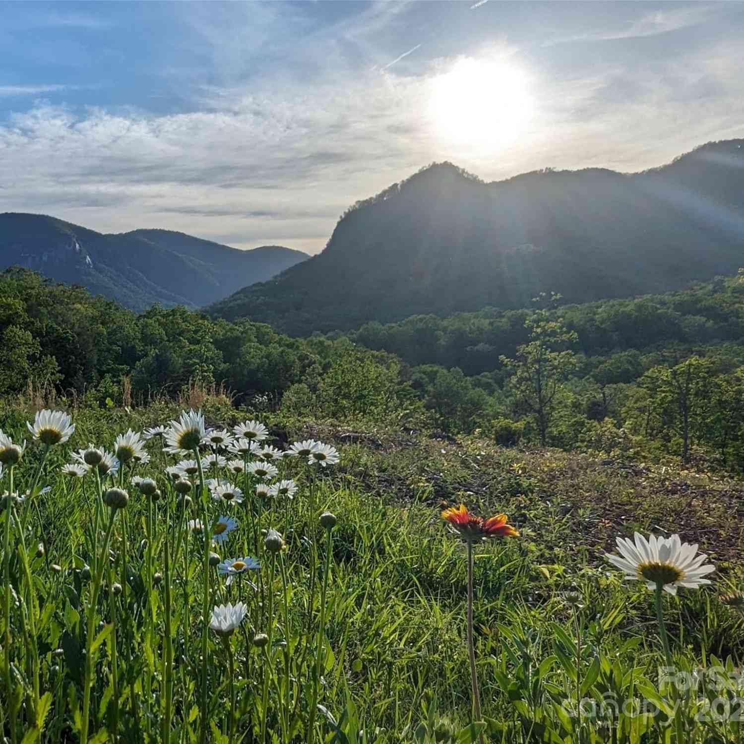 Ridgecrest Drive, Lake Lure, North Carolina image 7