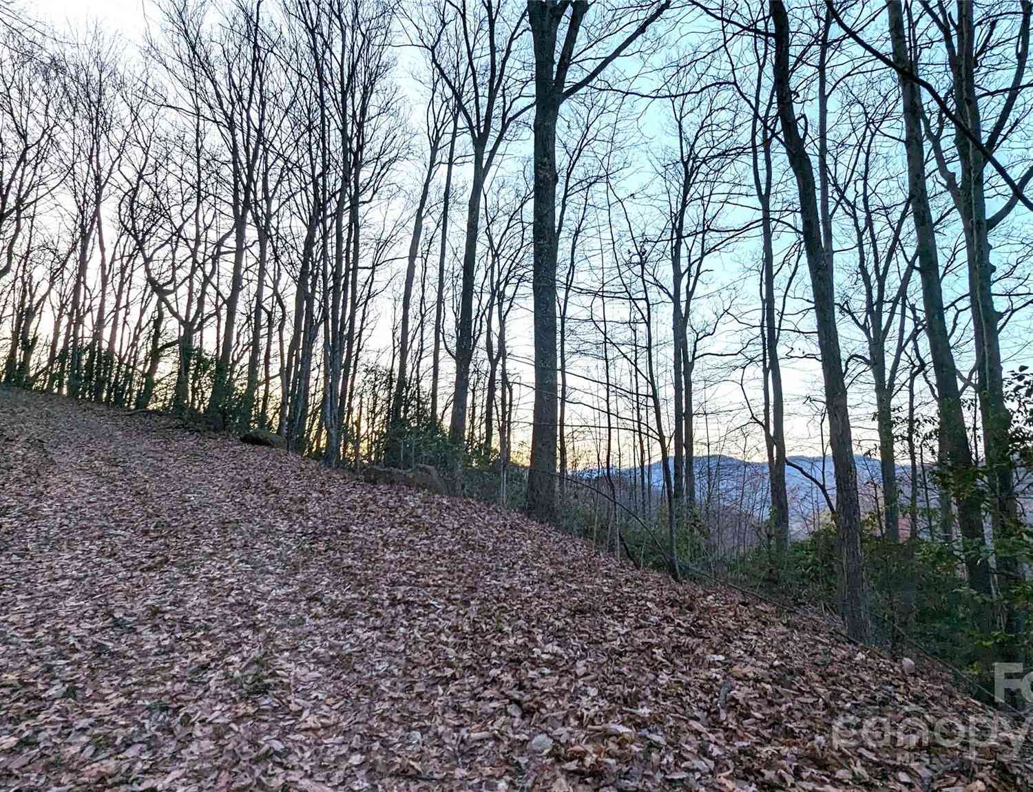 Ridgecrest Drive, Lake Lure, North Carolina image 4