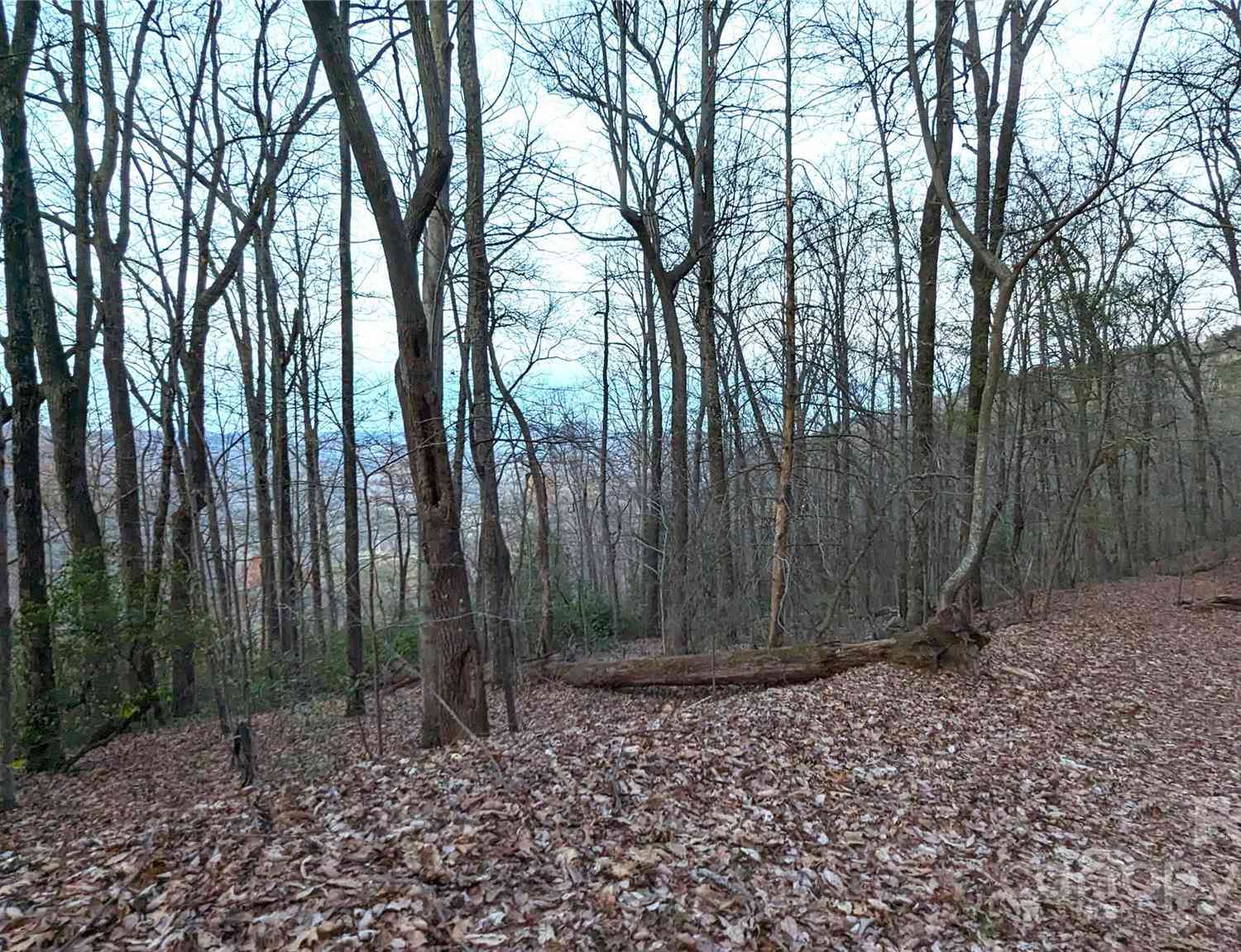 Ridgecrest Drive, Lake Lure, North Carolina image 3