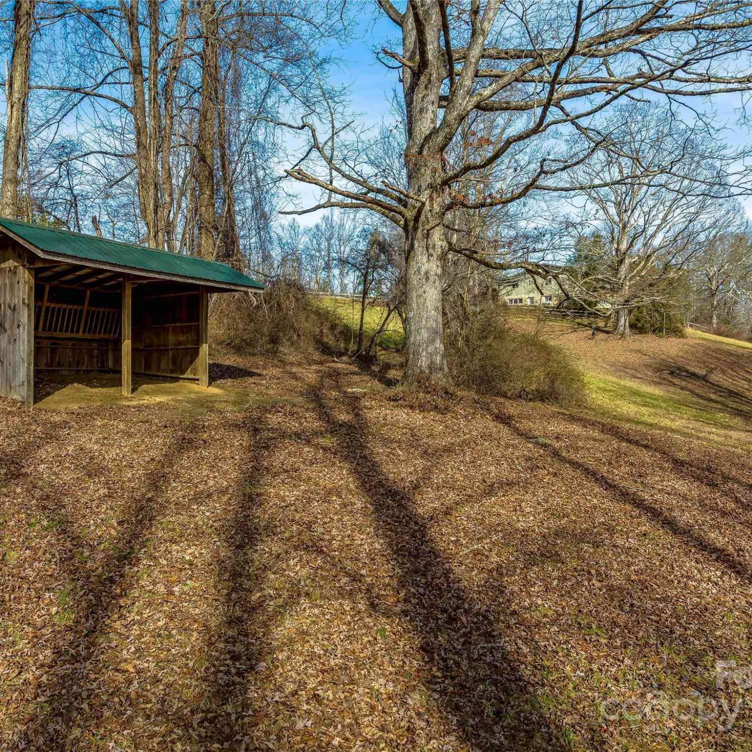 1411 Cabin Creek Road, Zirconia, North Carolina image 37