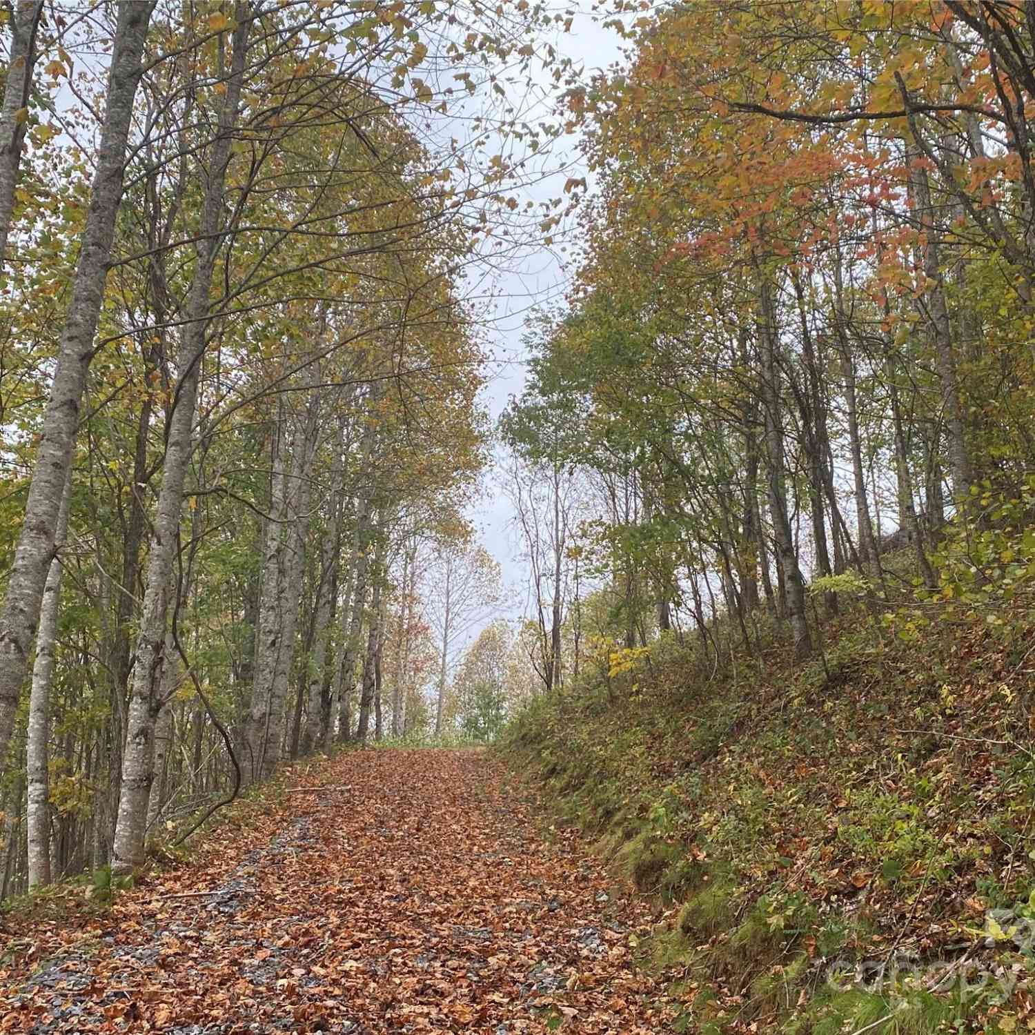 TBD Smith Creek Road #2, Mars Hill, North Carolina image 12