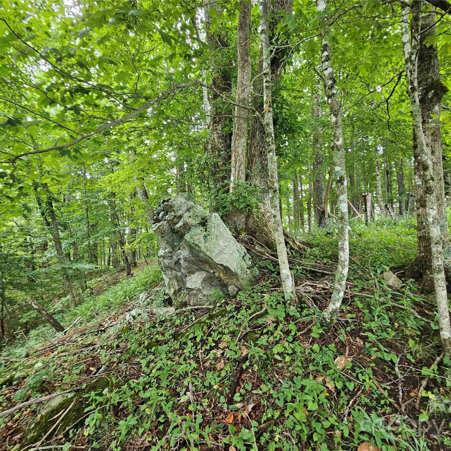 TBD Smith Creek Road #2, Mars Hill, North Carolina image 18