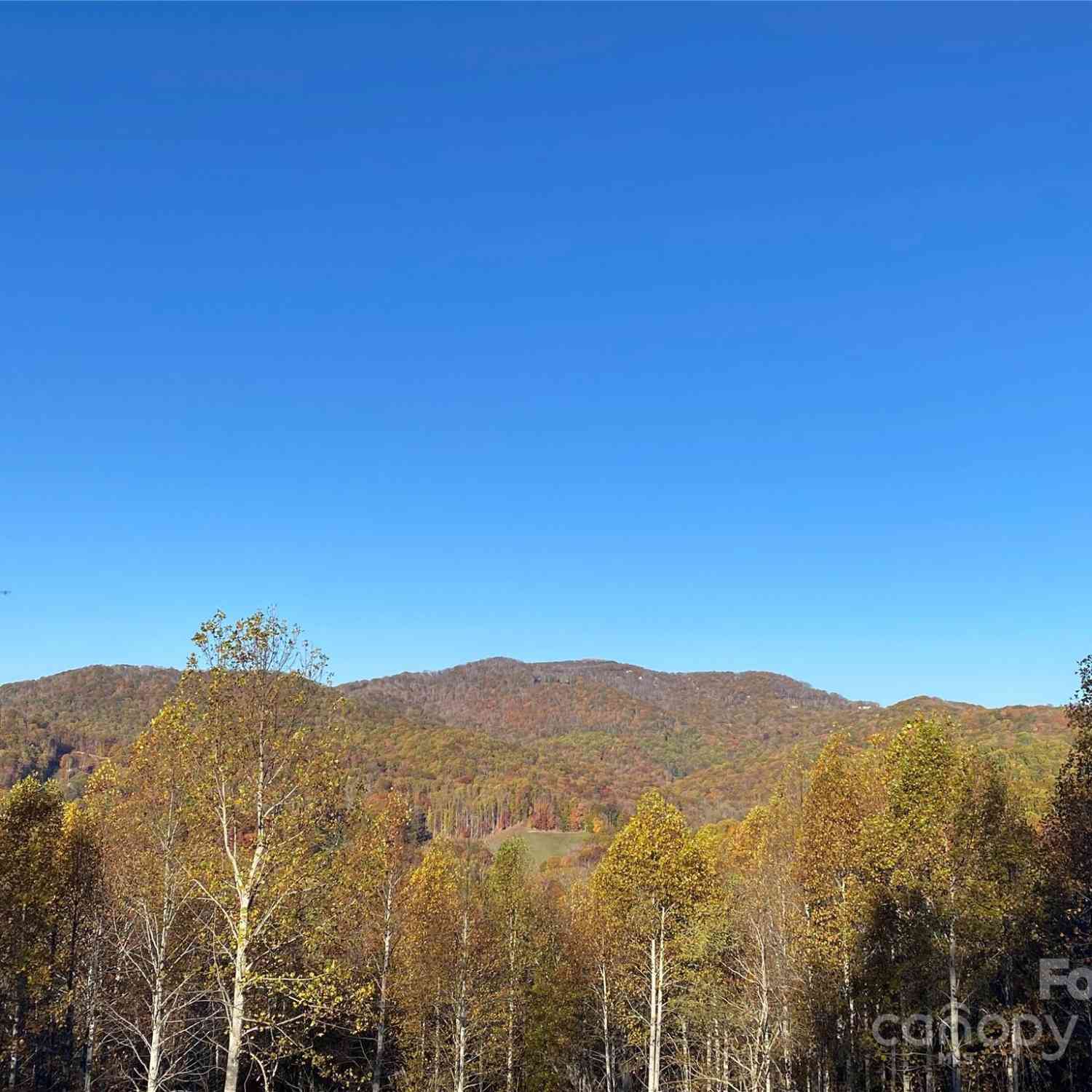 TBD Smith Creek Road #2, Mars Hill, North Carolina image 20