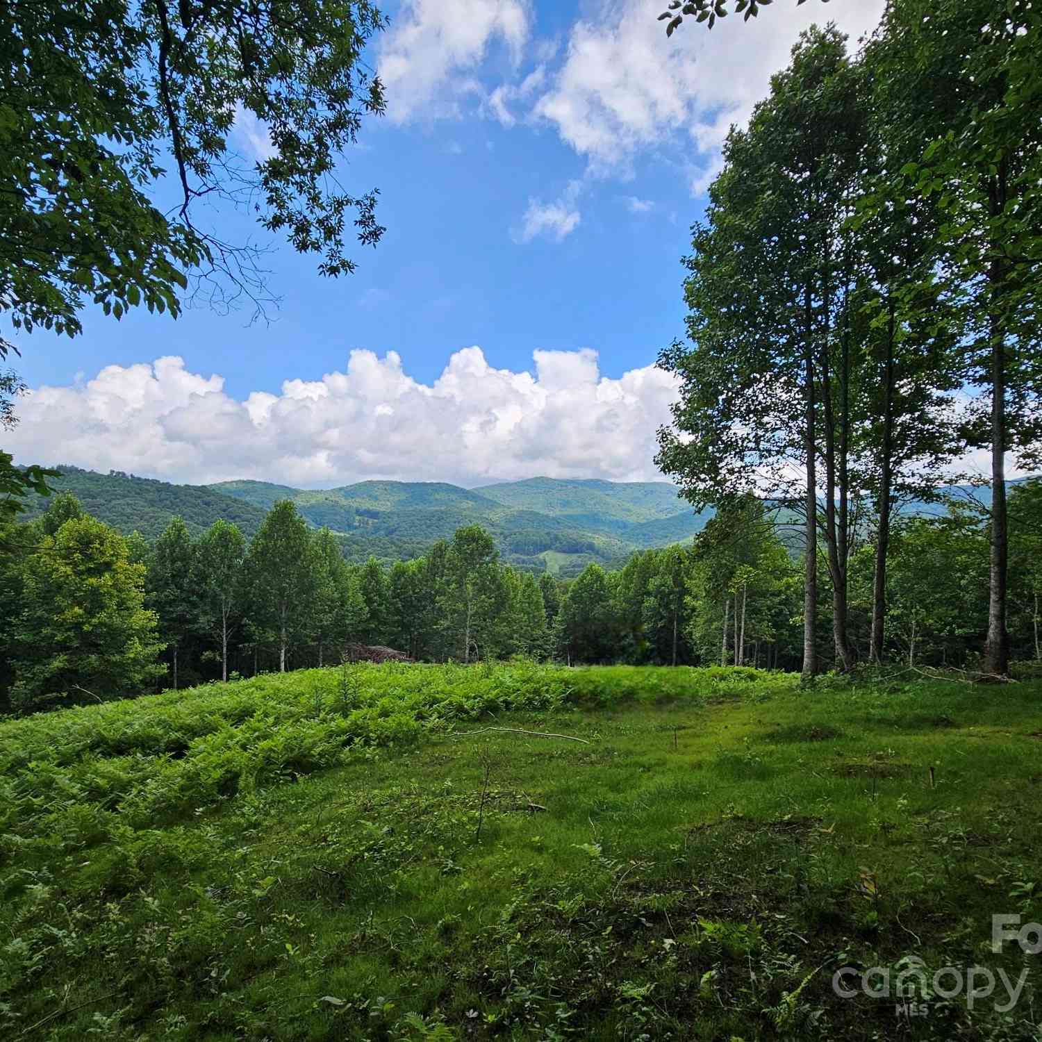 TBD Smith Creek Road #2, Mars Hill, North Carolina image 1