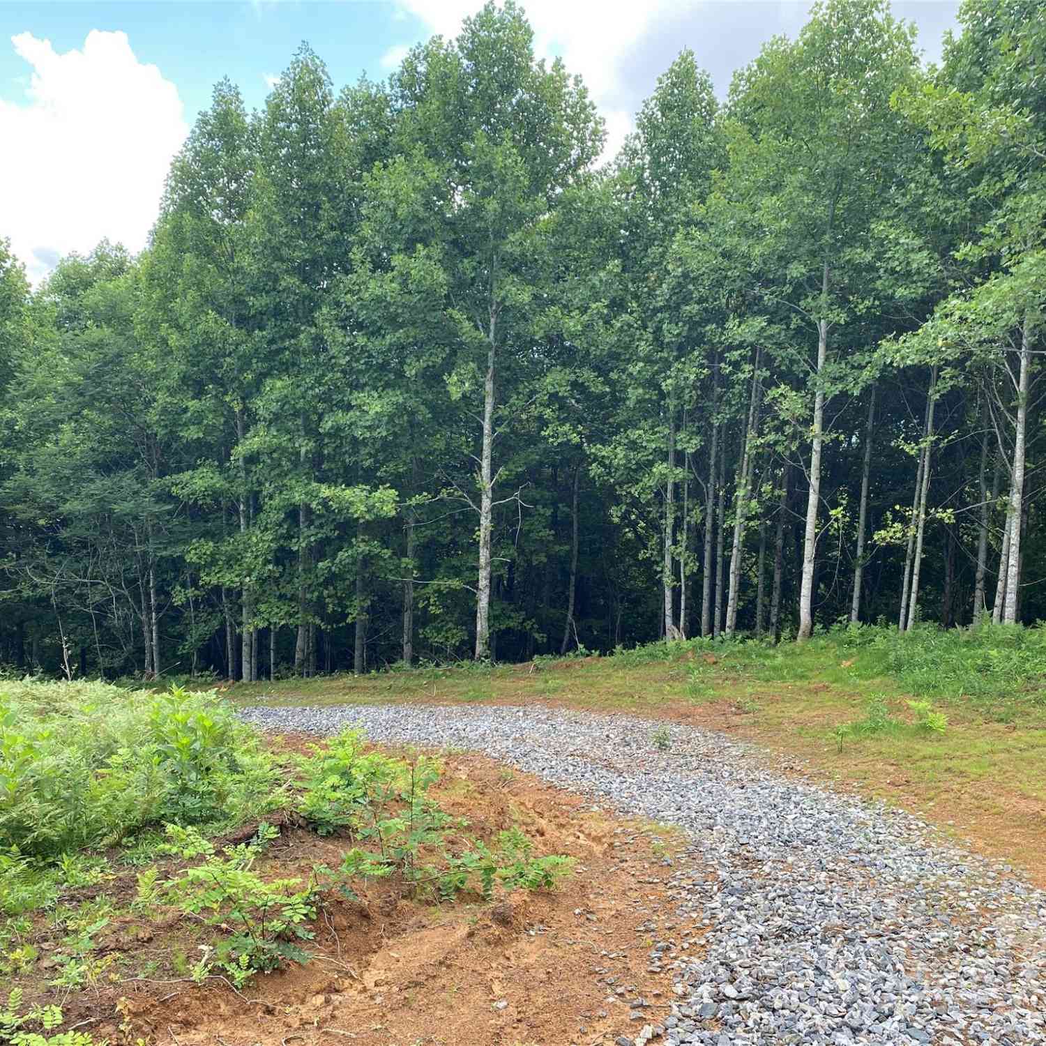 TBD Smith Creek Road #2, Mars Hill, North Carolina image 16