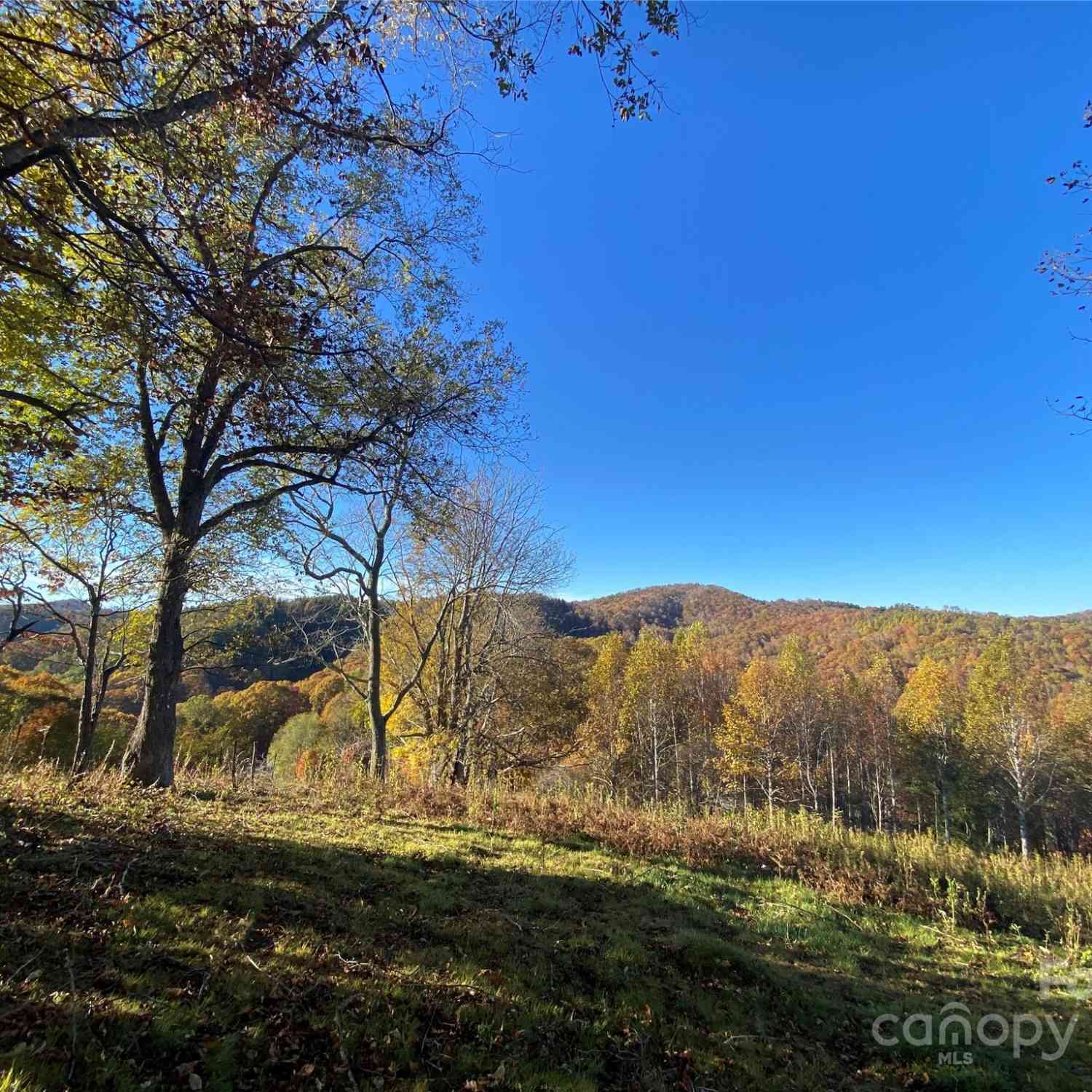 TBD Smith Creek Road #2, Mars Hill, North Carolina image 14