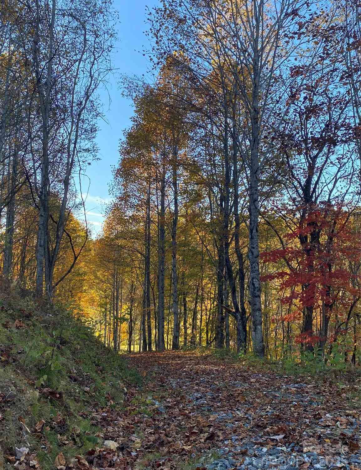 TBD Smith Creek Road #2, Mars Hill, North Carolina image 15