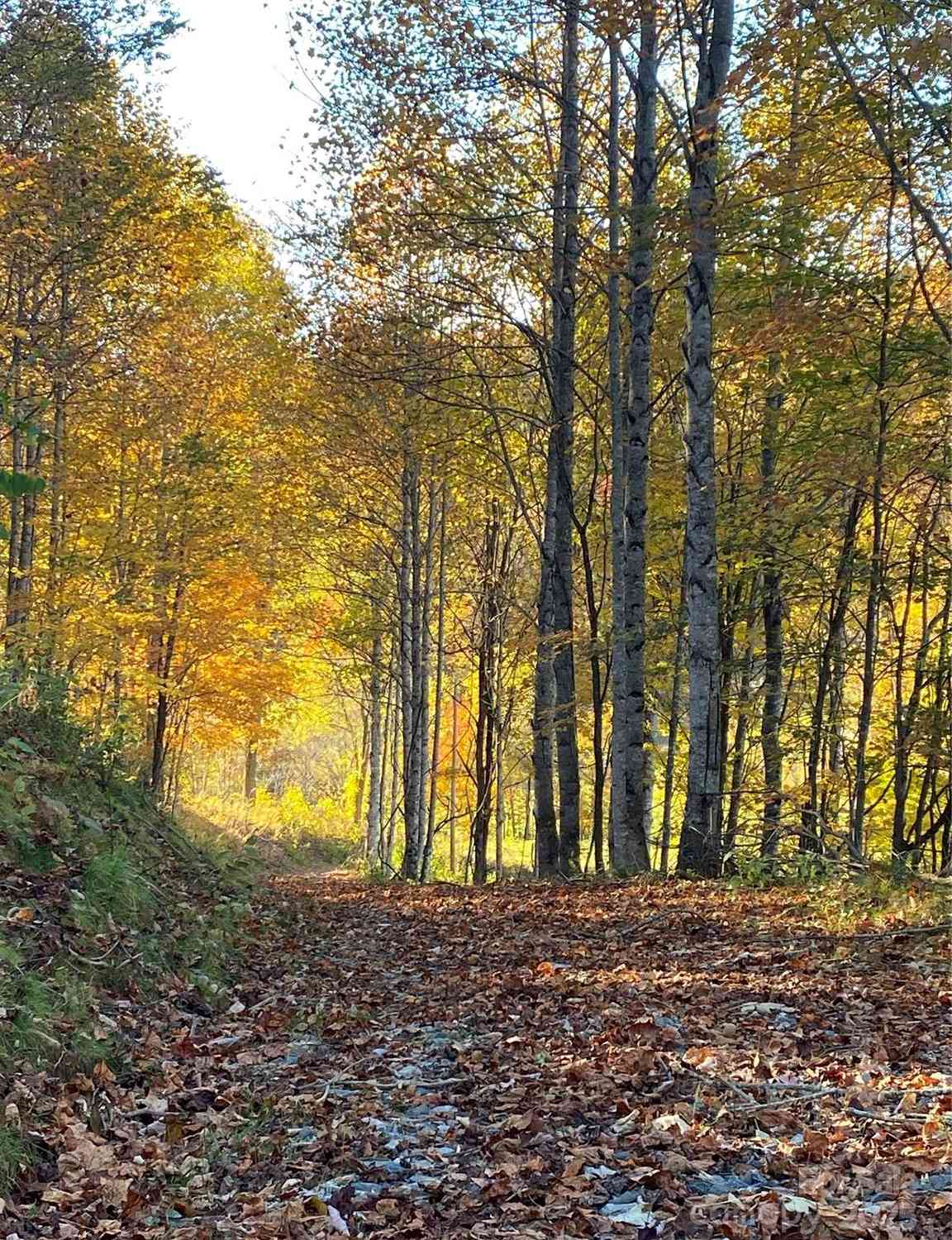 TBD Smith Creek Road #2, Mars Hill, North Carolina image 10