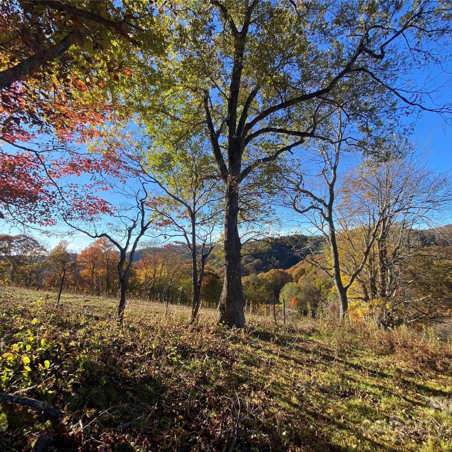 TBD Smith Creek Road #2, Mars Hill, North Carolina image 13