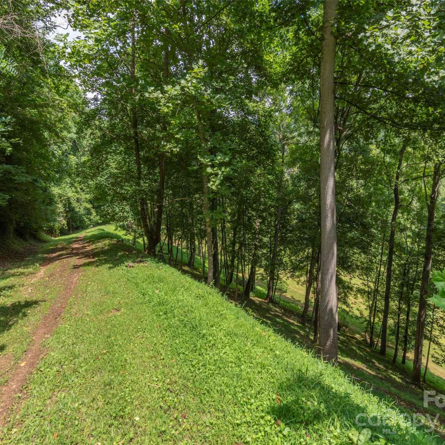 00 Campbell Mountain Drive #LOTS 116  117, Waynesville, North Carolina image 2