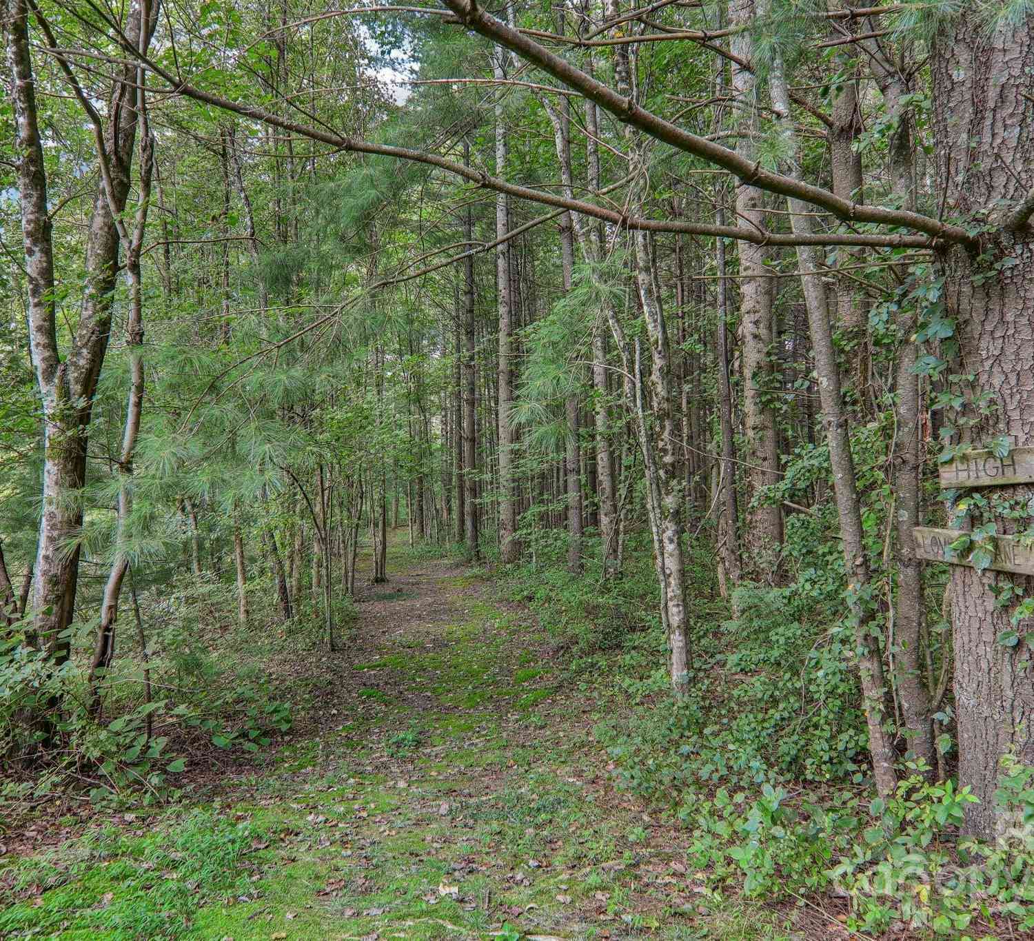 23 Country Meadows Lane, Hendersonville, North Carolina image 27