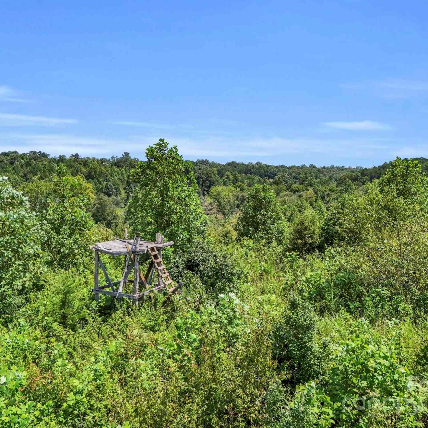 1857 Duncans Creek Road, Ellenboro, North Carolina image 18