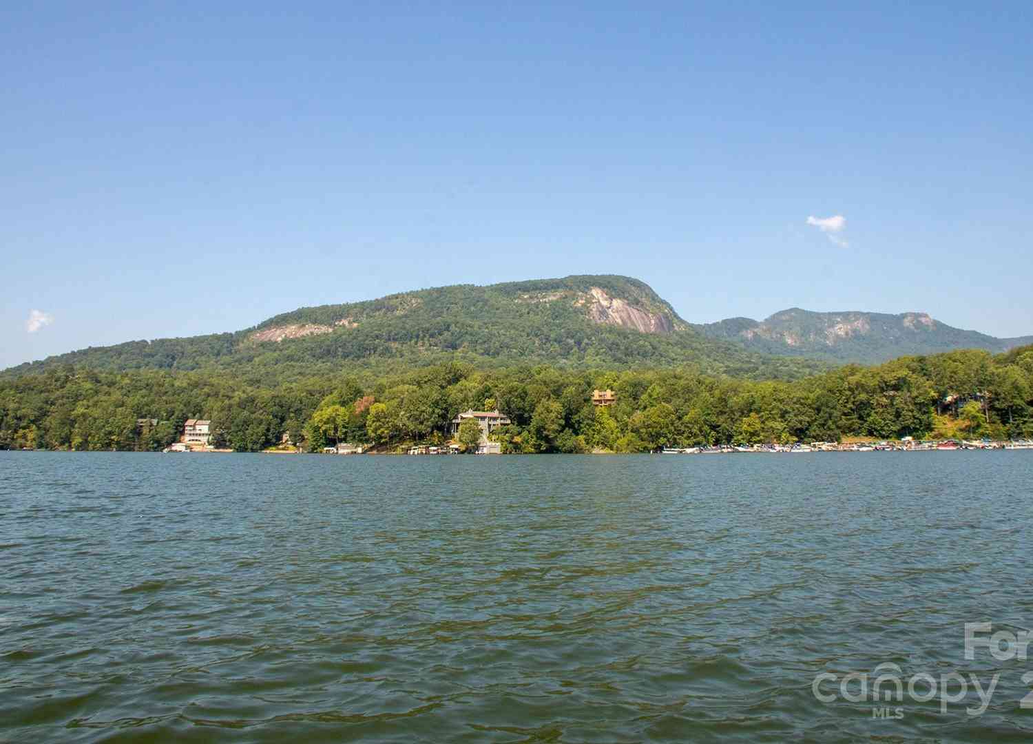 Lot 201 Little Creek Road, Lake Lure, North Carolina image 11