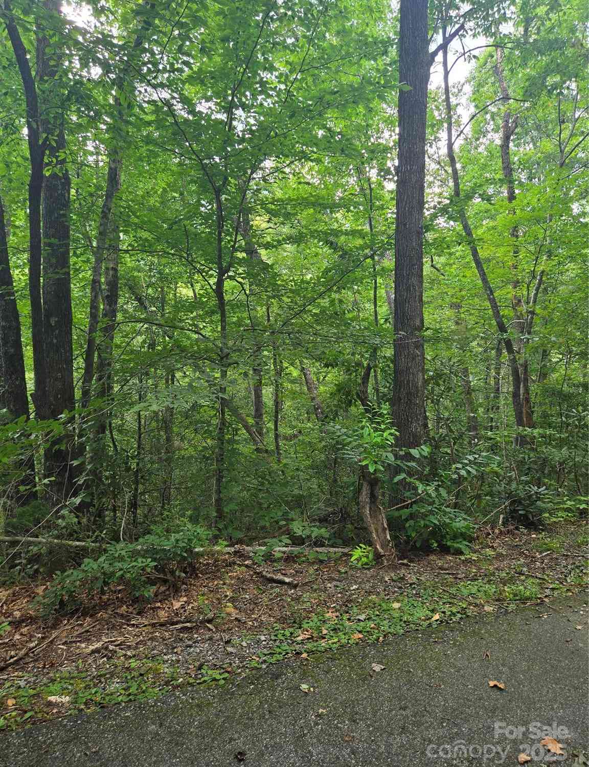 Lot 201 Little Creek Road, Lake Lure, North Carolina image 5