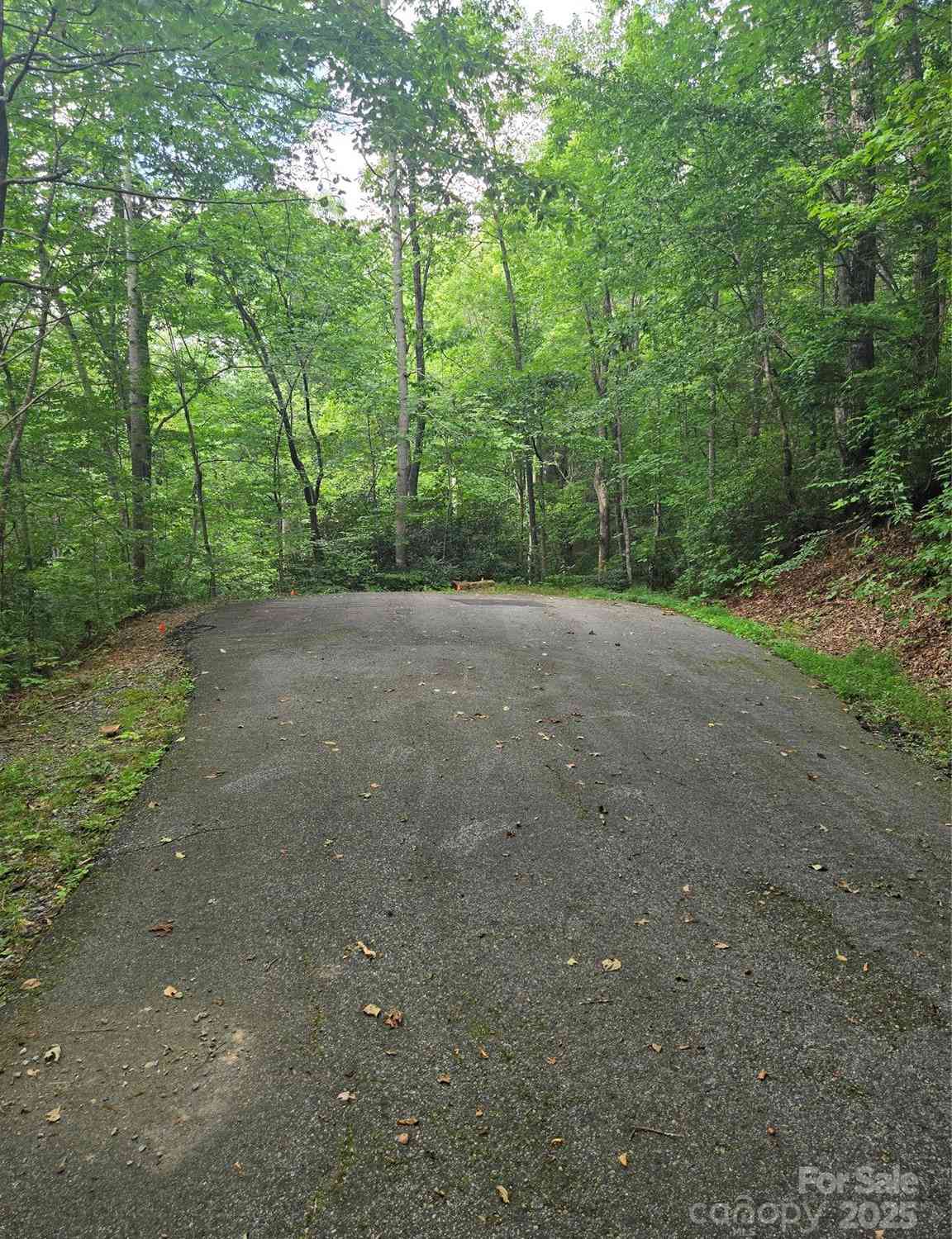 Lot 201 Little Creek Road, Lake Lure, North Carolina image 3