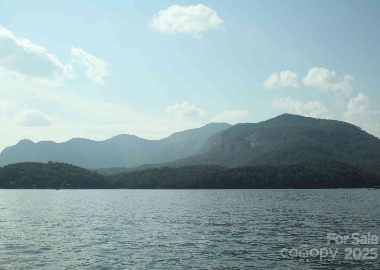 Lot 201 Little Creek Road, Lake Lure, North Carolina image 9