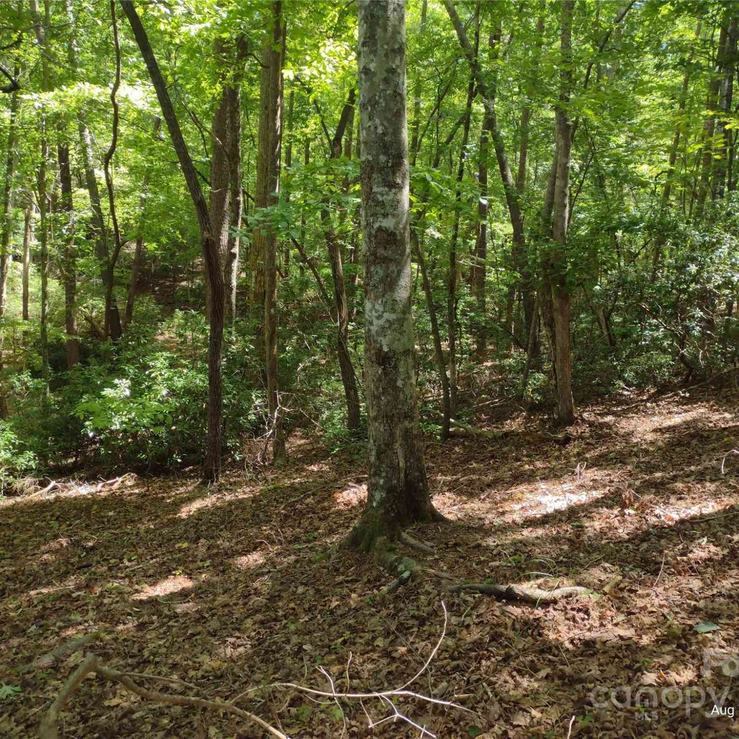 Lot 50 Shumont Estates Drive, Lake Lure, North Carolina image 4