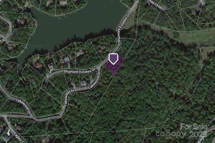 Lot 50 Shumont Estates Drive, Lake Lure, North Carolina image 10