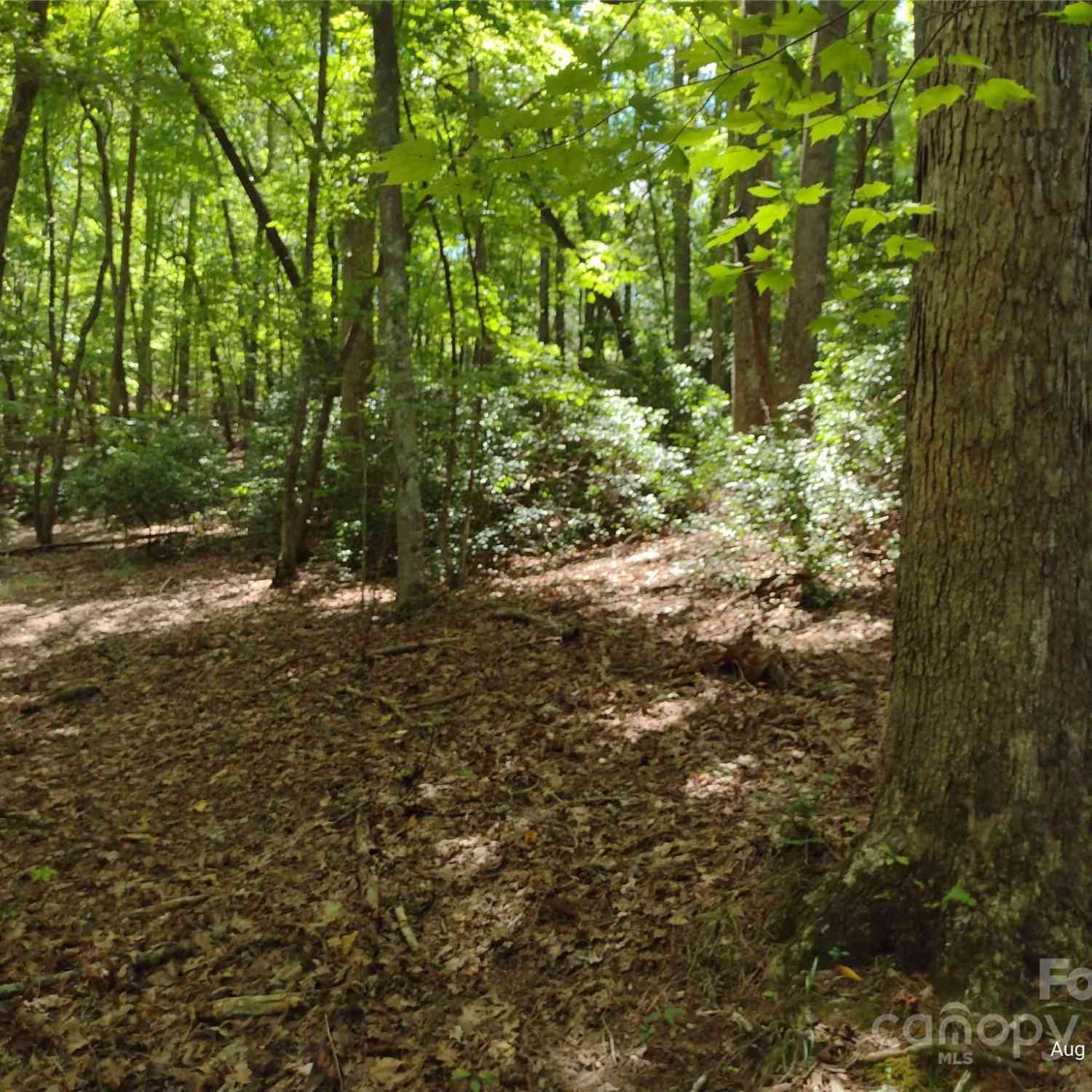 Lot 50 Shumont Estates Drive, Lake Lure, North Carolina image 6