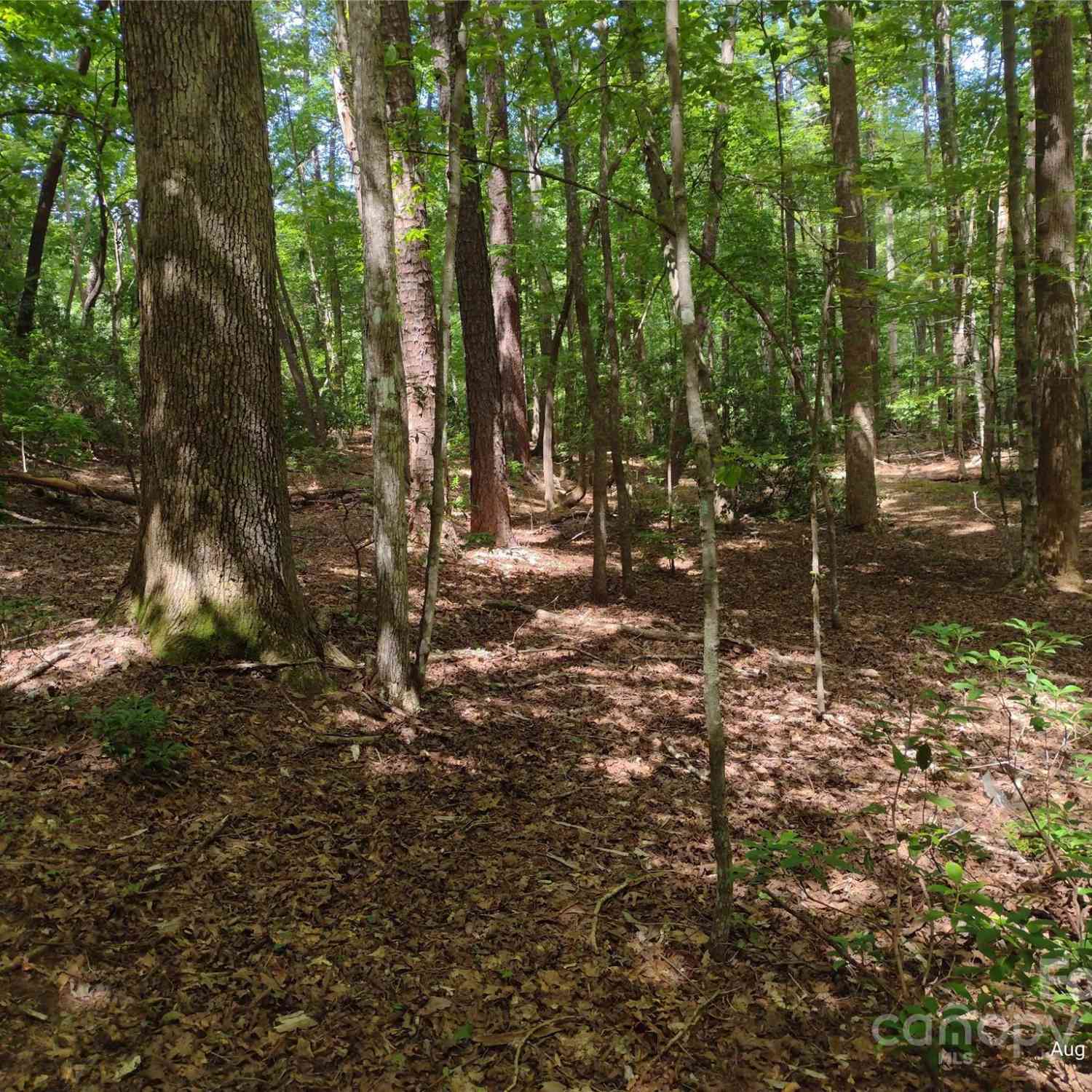 Lot 50 Shumont Estates Drive, Lake Lure, North Carolina image 8