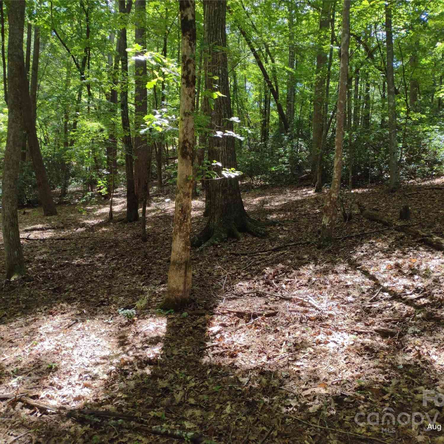 Lot 50 Shumont Estates Drive, Lake Lure, North Carolina image 5