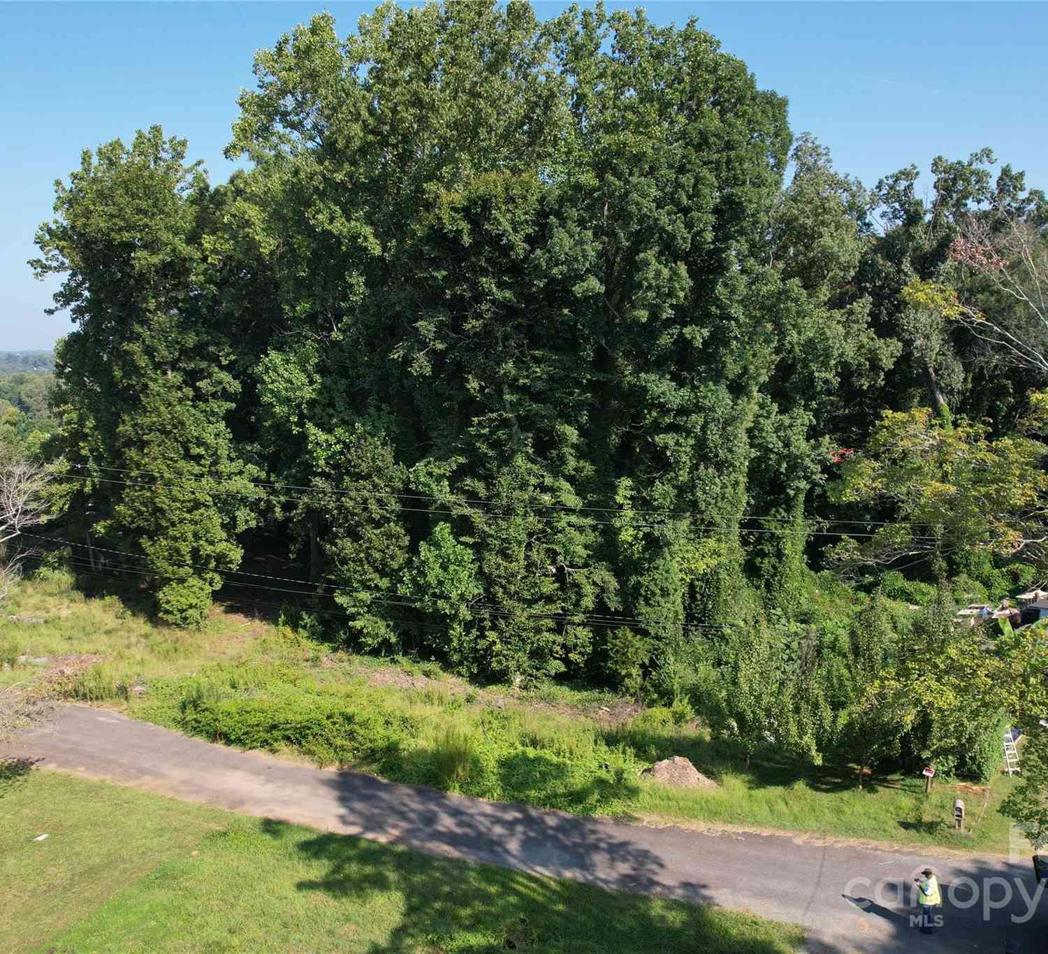 980498129822 Parkwood Drive, Charlotte, North Carolina image 3