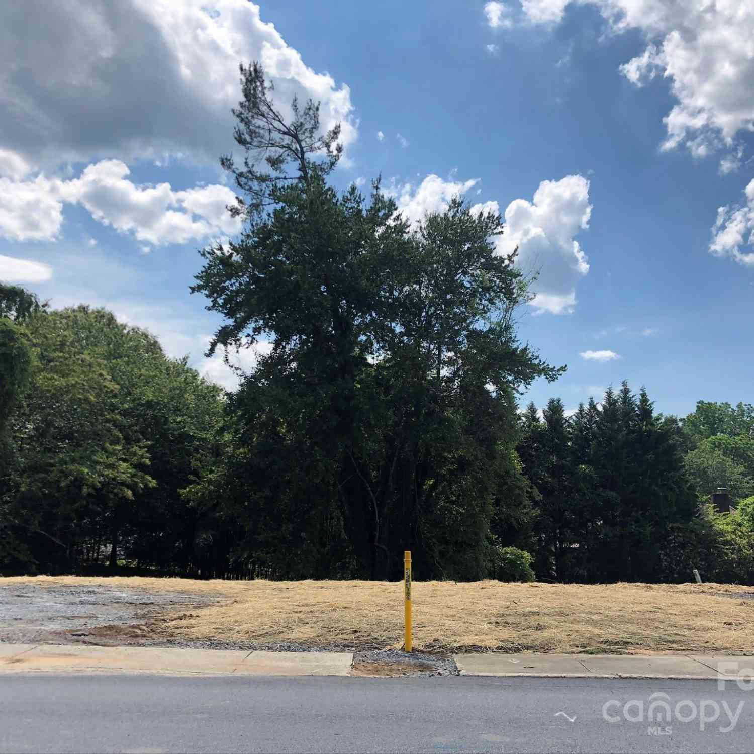 903 Fleming Street, Hendersonville, North Carolina image 2