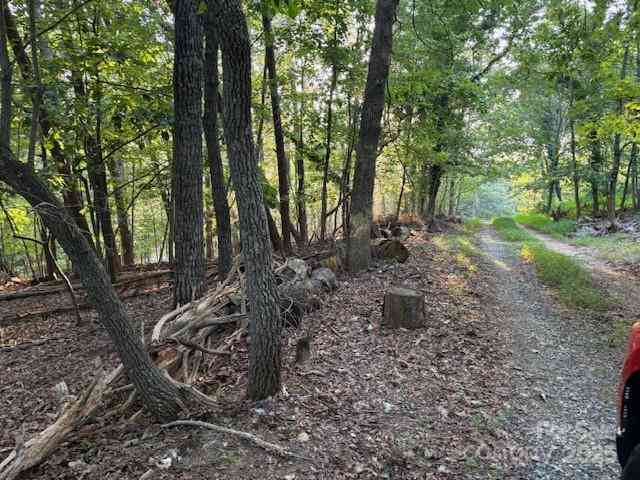 00 Johnson Circle, Lake Lure, North Carolina image 4