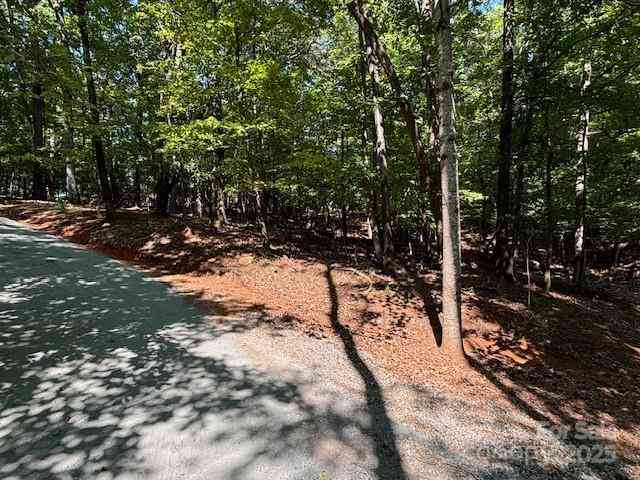 00 Johnson Circle, Lake Lure, North Carolina image 8