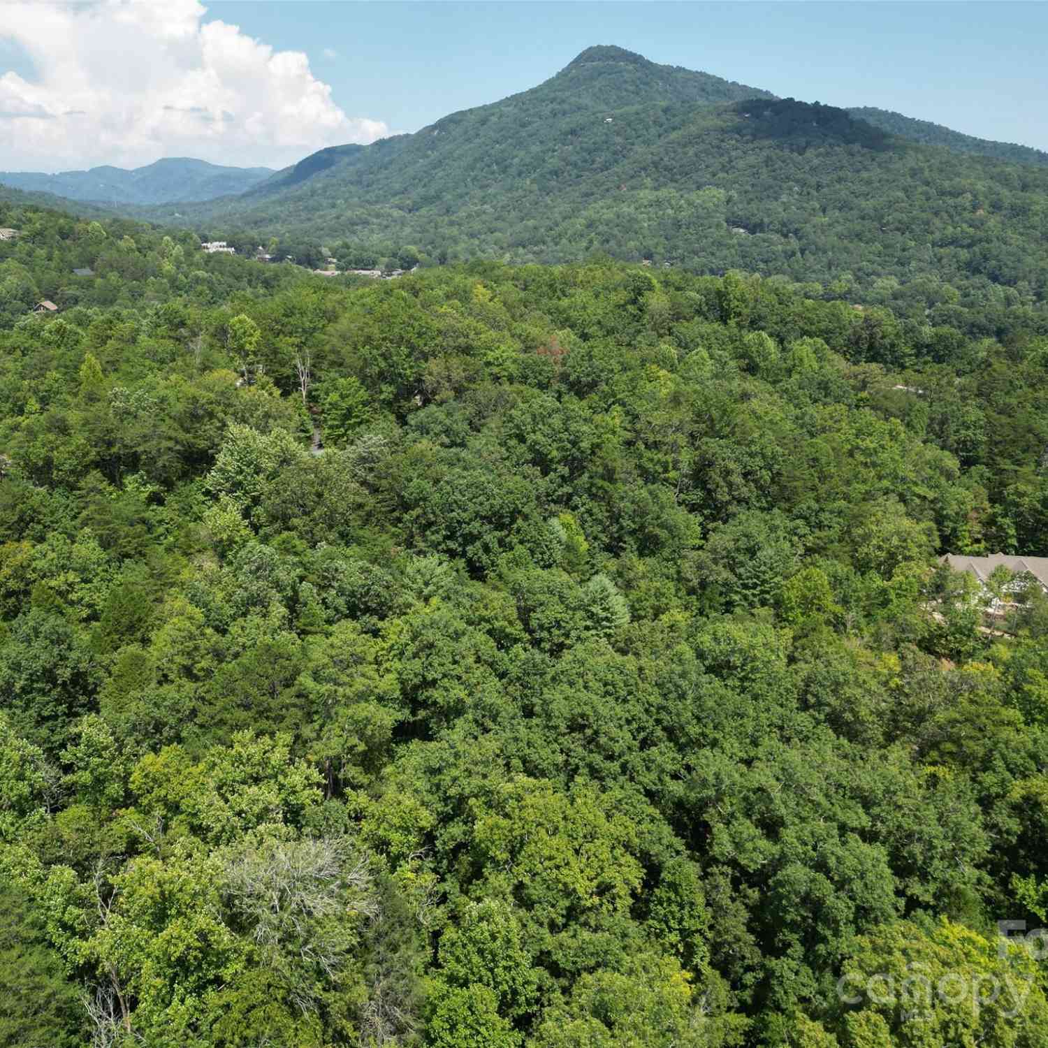 Lot 14 Rumbling Bald Road, Lake Lure, North Carolina image 2