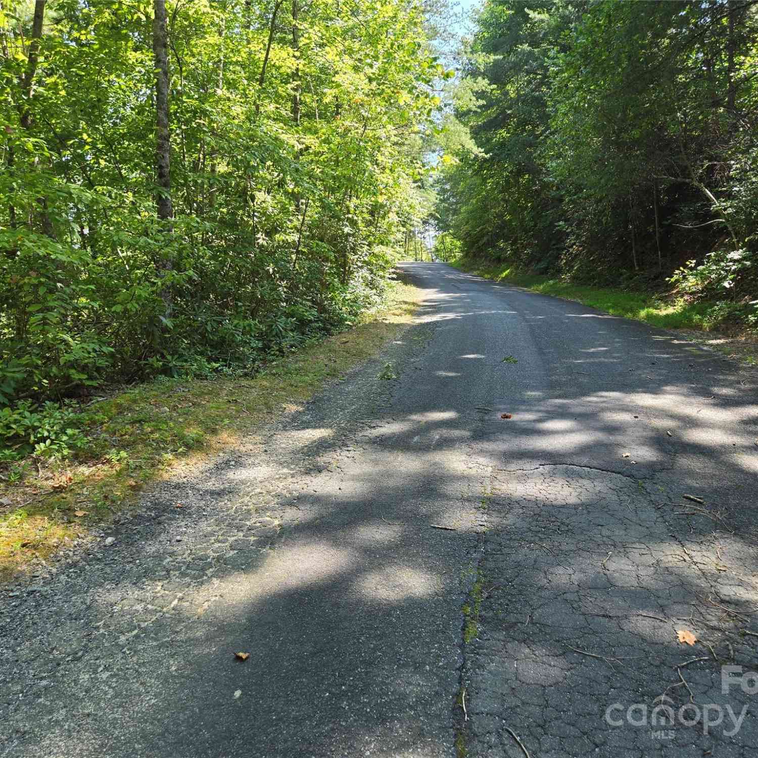 Lot 14 Rumbling Bald Road, Lake Lure, North Carolina image 1