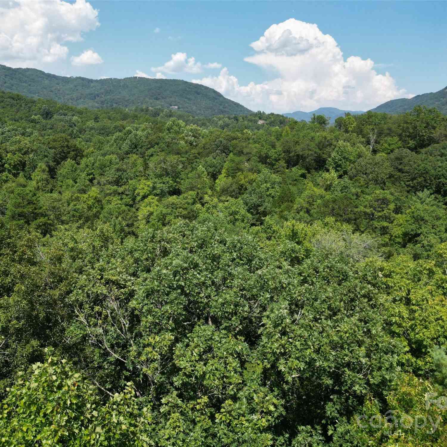 Lot 14 Rumbling Bald Road, Lake Lure, North Carolina image 3