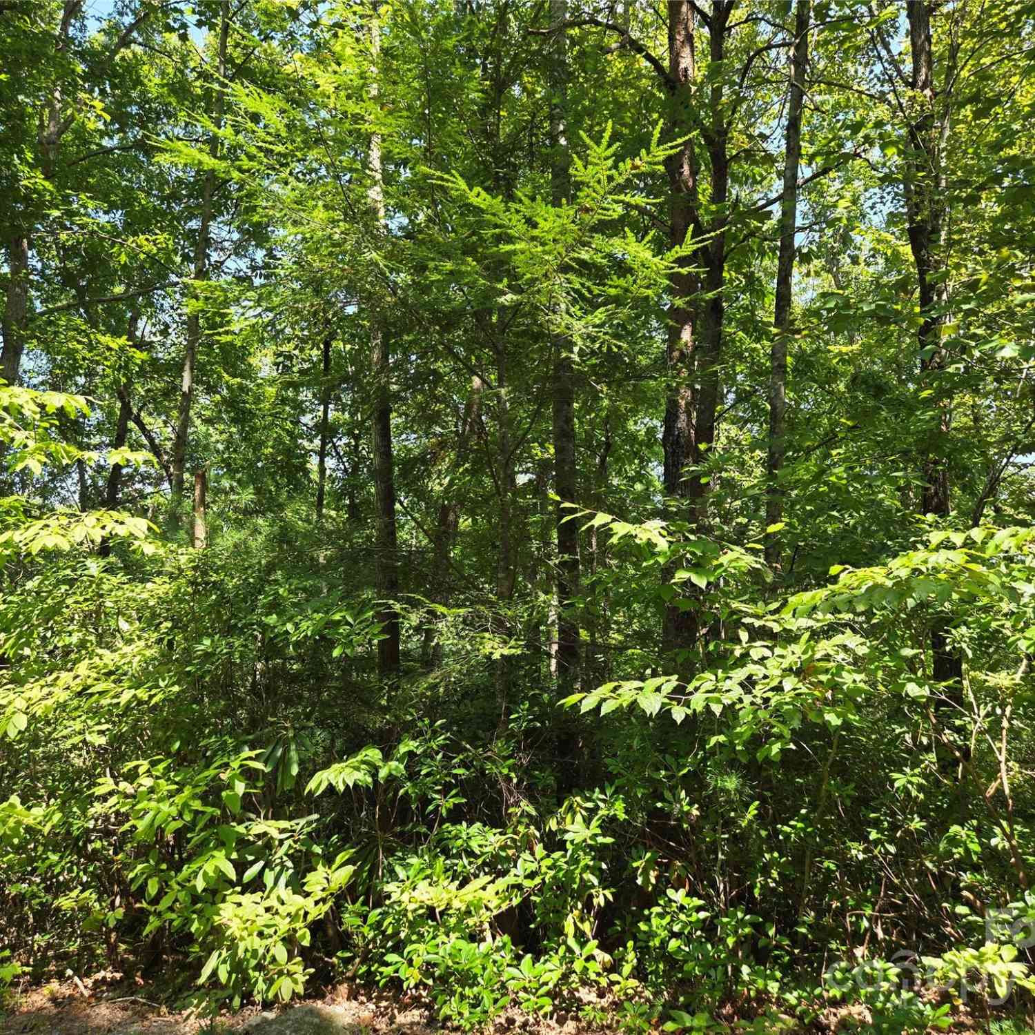 Lot 14 Rumbling Bald Road, Lake Lure, North Carolina image 5