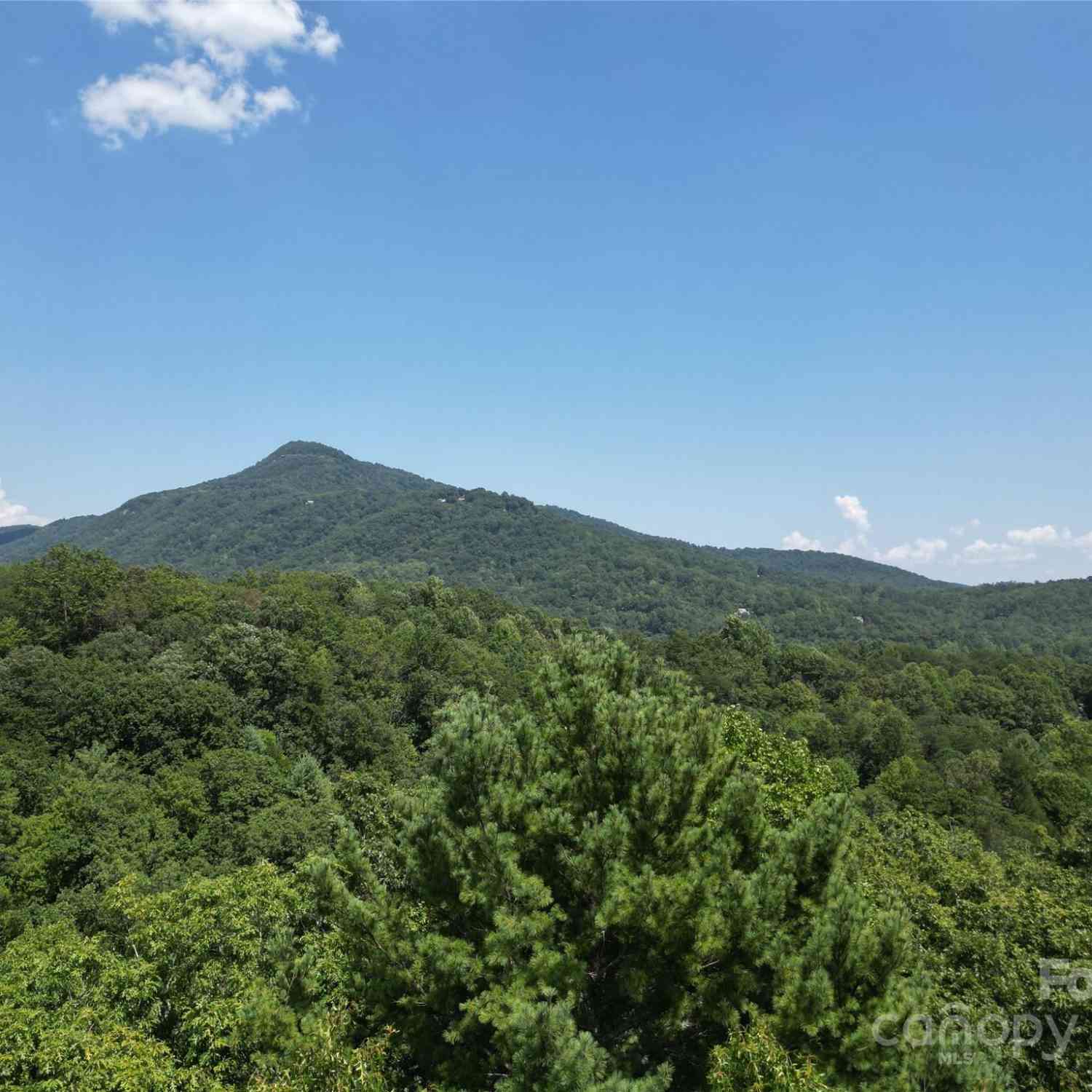 Lot 14 Rumbling Bald Road, Lake Lure, North Carolina image 8