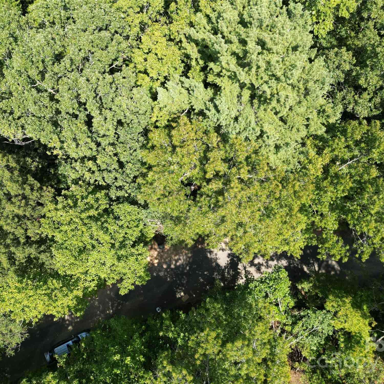 Lot 14 Rumbling Bald Road, Lake Lure, North Carolina image 7