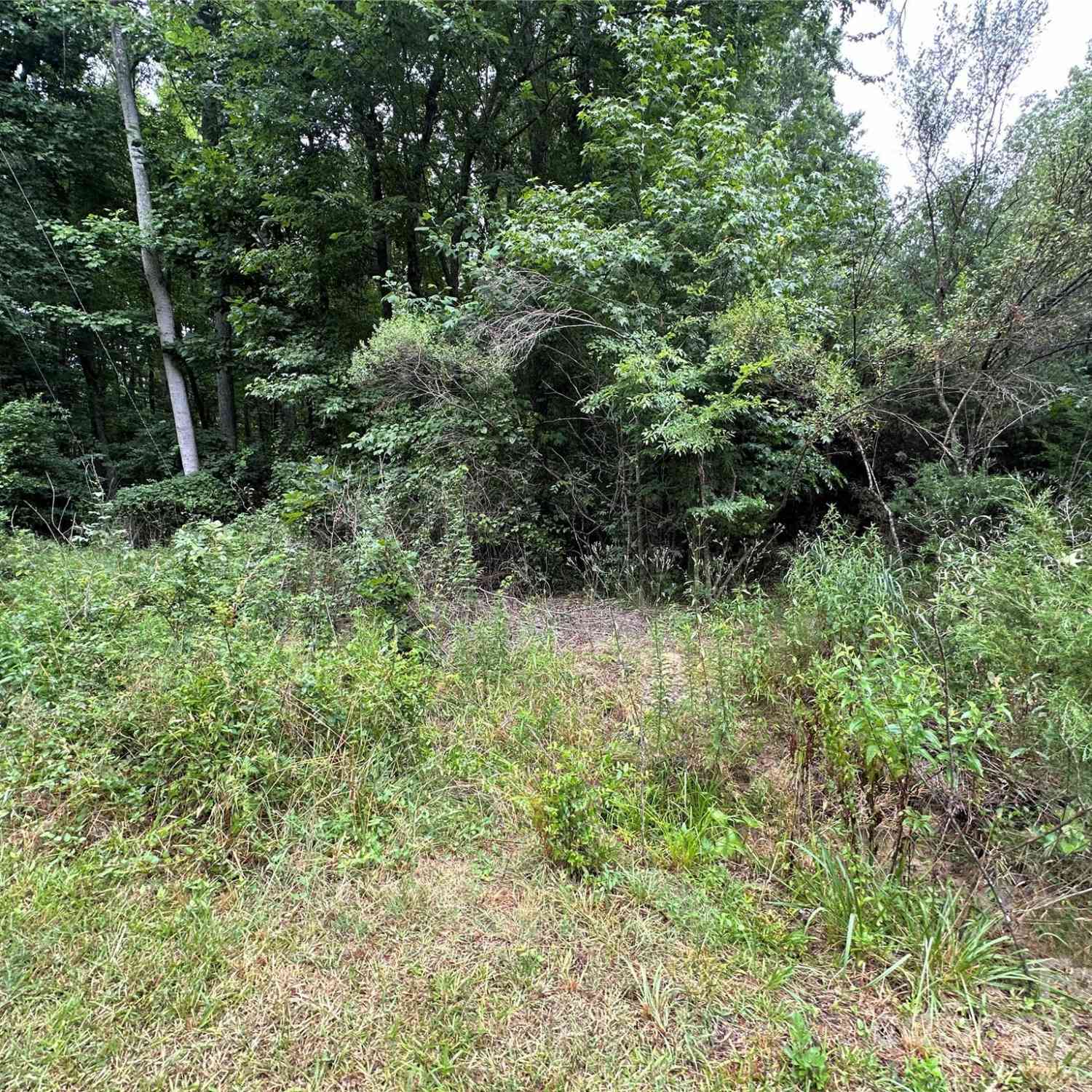 9200 Pinenoll Lane, Charlotte, North Carolina image 2