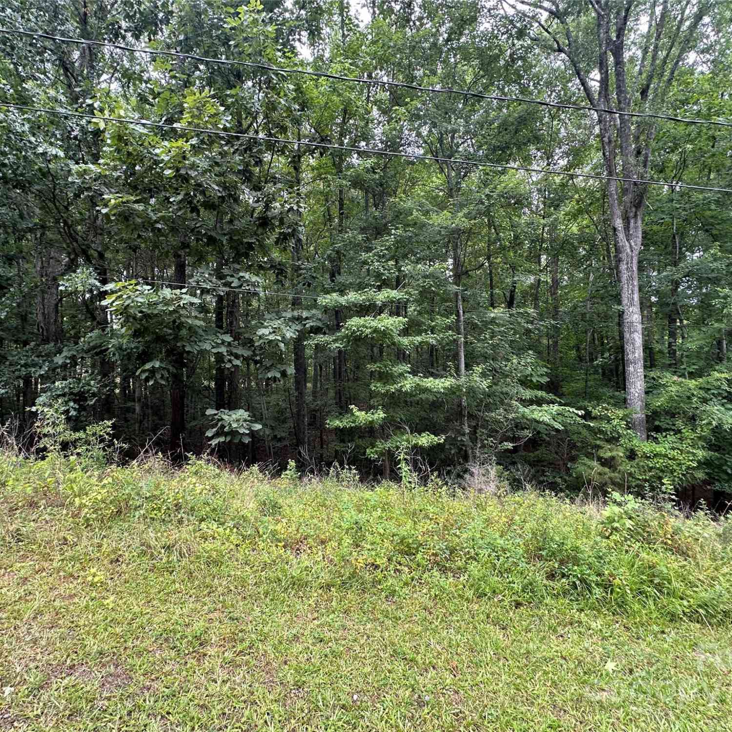 9200 Pinenoll Lane, Charlotte, North Carolina image 4