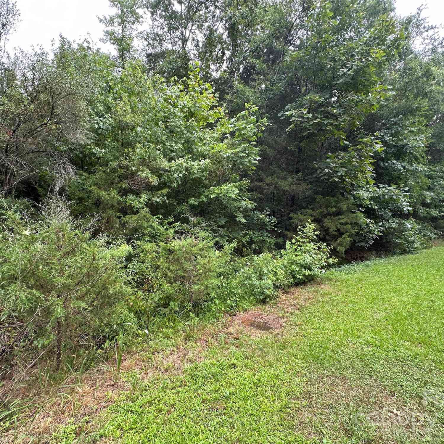 9142 Pinenoll Lane, Charlotte, North Carolina image 4