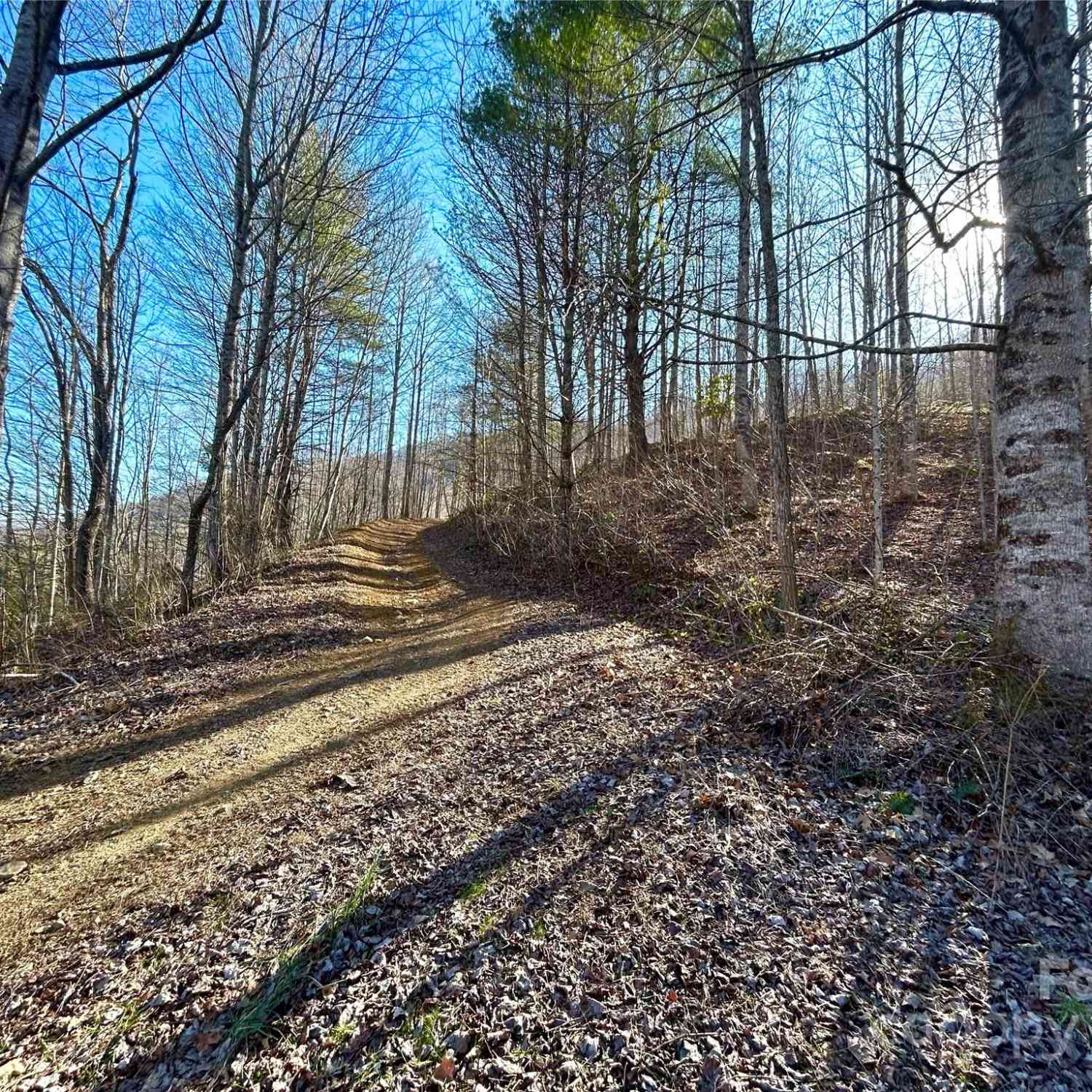 00 Gentry Farm Drive, Hot Springs, North Carolina image 44