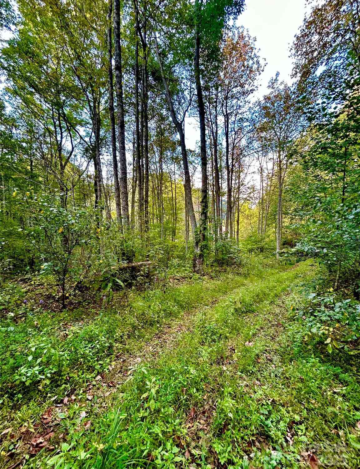 00 Gentry Farm Drive, Hot Springs, North Carolina image 27