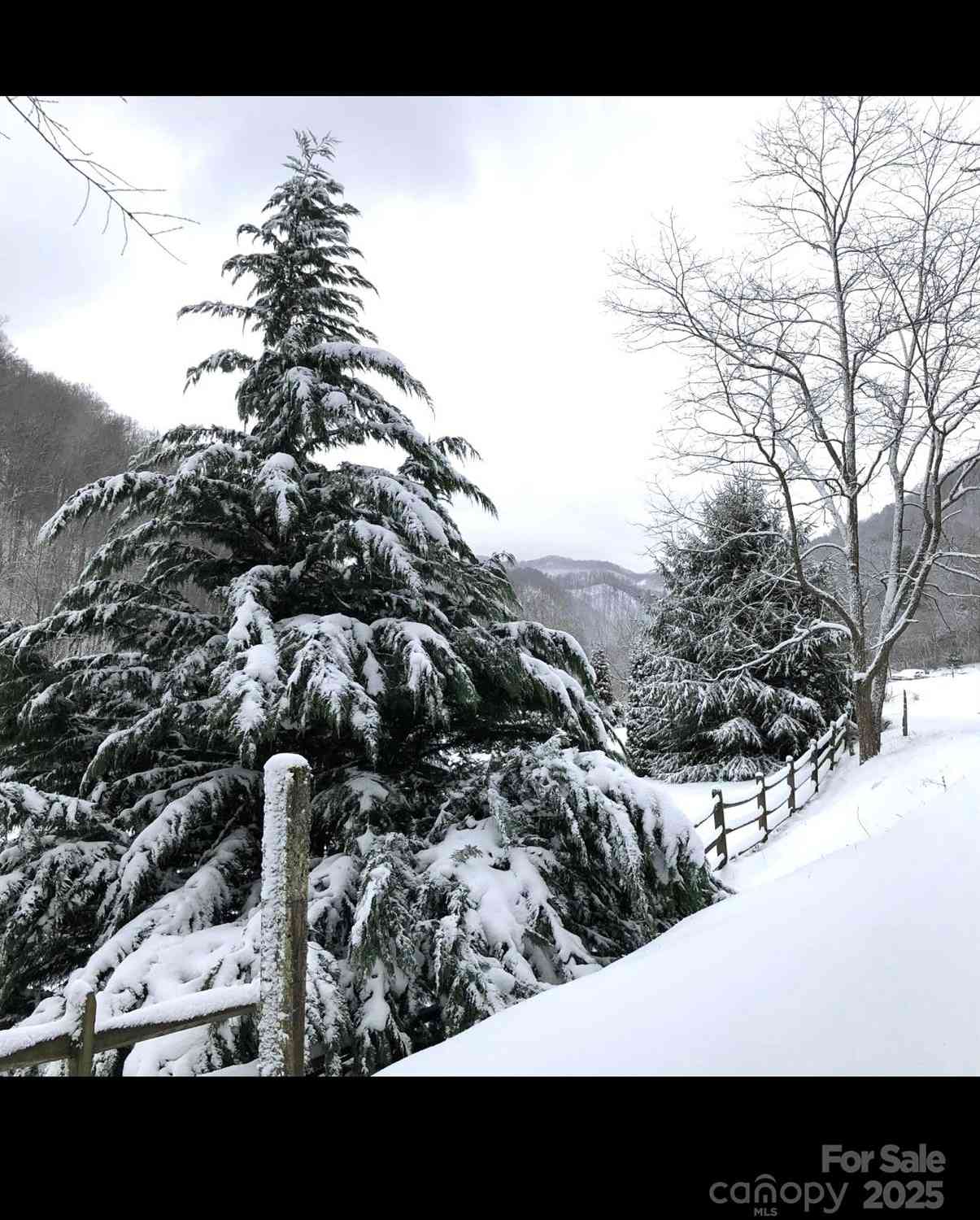 00 Gentry Farm Drive, Hot Springs, North Carolina image 5