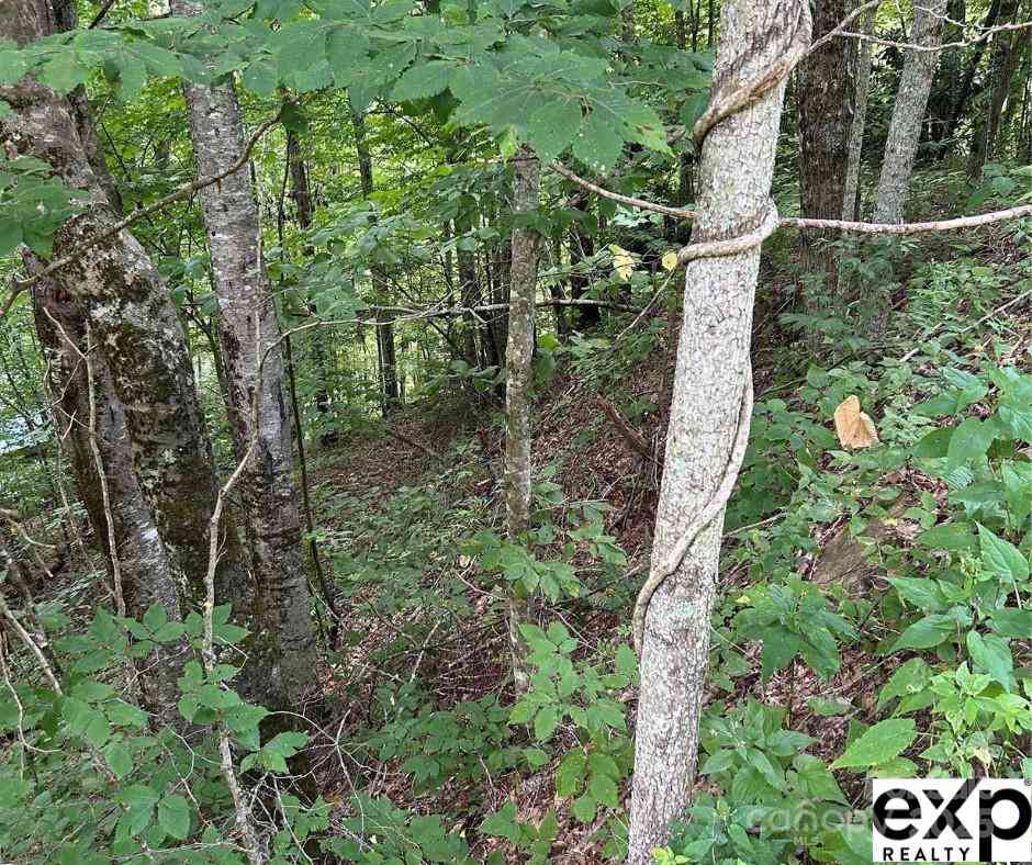 0000 Conley Drive, Maggie Valley, North Carolina image 3