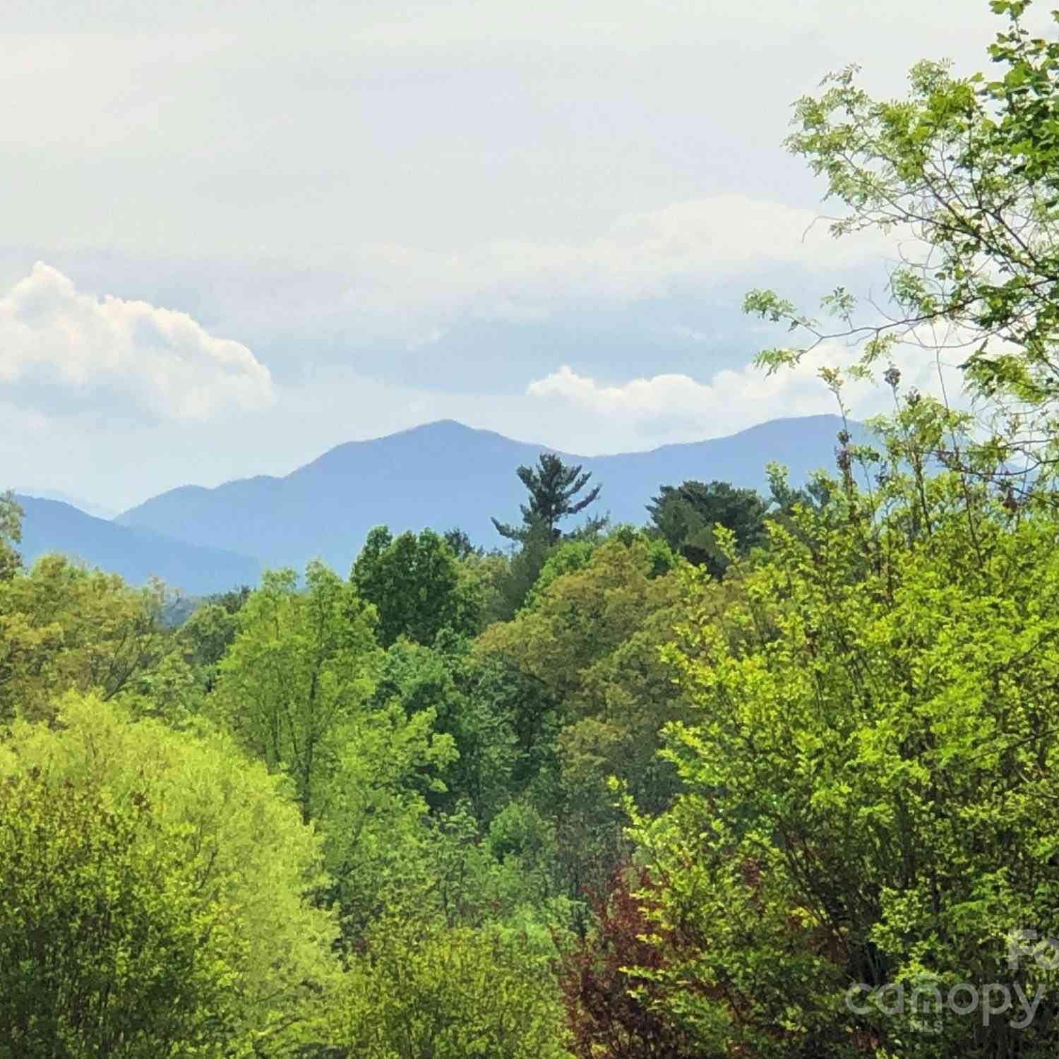 14 Benedict Lane, Weaverville, North Carolina image 12