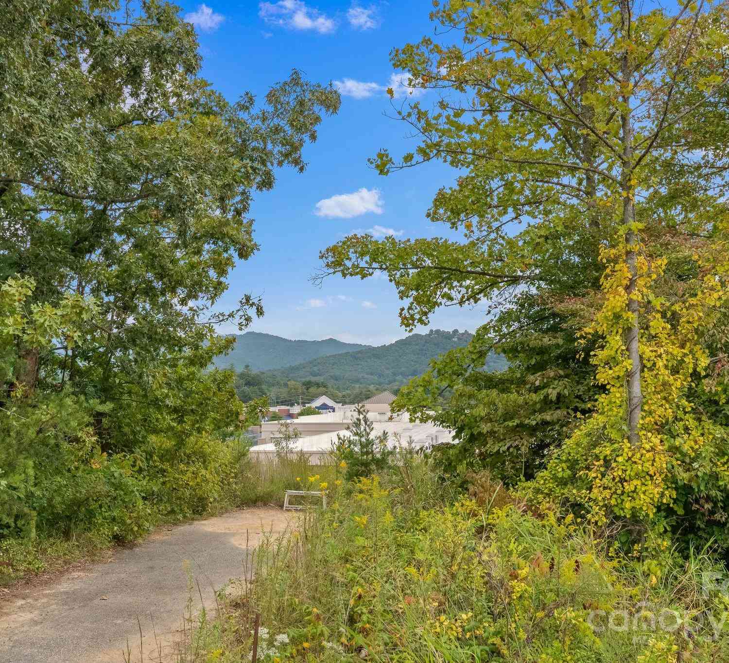 14 Benedict Lane, Weaverville, North Carolina image 33